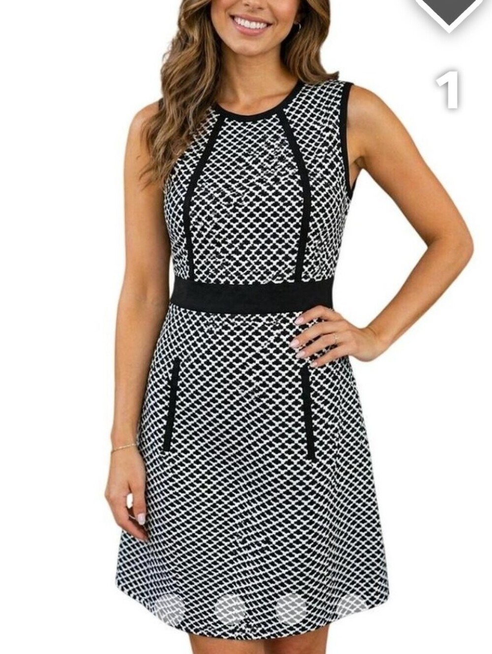 Calvin Klein Ghangham Sheath Black and White Patterned Dress sz 2
